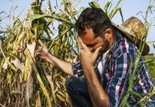 Artículo / Estrategia de lucha: “demandar diálogo”