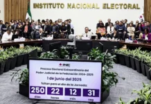 Picotazo Político / Votar o no votar