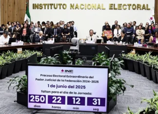 Picotazo Político / Votar o no votar