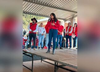 Poder Público / «Las mujeres somos mucho más que una bandera política», Paola Ceja