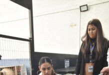 Ale Rojo de la Vega va por rescate de hotel para perros y gatos