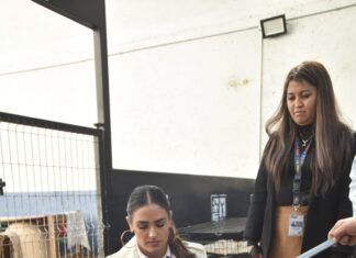 Ale Rojo de la Vega va por rescate de hotel para perros y gatos