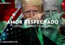 AMOR DESPECHADO CARTAS, CARTITAS Y CARTOTAS