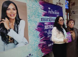 Comercio en el espacio público tiene que dejar de ser perseguido: Diana Sánchez