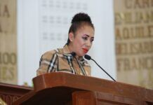Propone diputada Rebeca Peralta que vialidades de la CDMX se construyan con materiales permeable