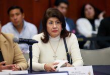 Accidentes de Tráfico, Problema de Salud Pública: Mariela Gutiérrez