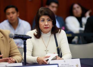 Accidentes de Tráfico, Problema de Salud Pública: Mariela Gutiérrez