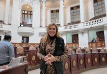 Urge coordinación de los tres niveles de gobierno para solucionar problemas de agua y drenaje en Coyoacán