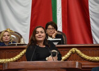 La diputada Elizabeth Mateos propone iniciativa Huellitas seguras