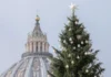 Recaban firmas para evitar tala de abeto destinado a árbol de Navidad en Plaza de San Pedro