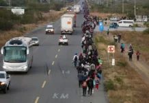 Caravana migrante llegó a Oaxaca