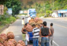 Intermediarismo: ¡otra lacra en el campo!