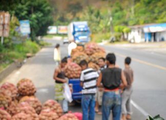 Intermediarismo: ¡otra lacra en el campo!