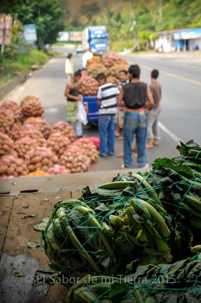 intermediarismo en agro (1)