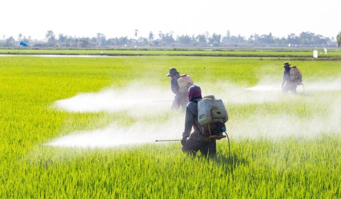 Glifosato-el-pesticida-que-enfrenta-a-los-cientificos