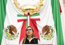 Diputada Miriam Saldaña propone habilitación de parques caninos