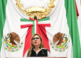 Diputada Miriam Saldaña propone habilitación de parques caninos