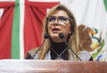 Solicita PT mayor presupuesto para mantenimiento de parquesy jardines, limpieza y rescate de barrancas de 9 alcaldías