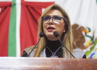Solicita PT mayor presupuesto para mantenimiento de parquesy jardines, limpieza y rescate de barrancas de 9 alcaldías