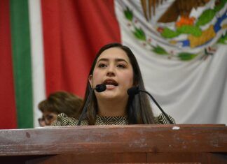 Importante incluir a seres sintientes en acuerdos de divorcio en la Ciudad de México: Movimiento Ciudadano