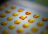 A más inteligencia emocional más uso de emojis, revela estudio