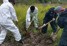 Suman 17 cuerpos hallados en fosas clandestinas en Chiapas