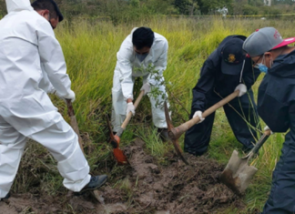 Suman 17 cuerpos hallados en fosas clandestinas en Chiapas
