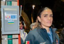 Con Ale Rojo de la Vega, Cuauhtémoc tiene más de 6 mil nuevas luminarias