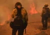 Delegación Mexicana ayuda a controlar incendios en Los Ángeles