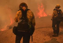 Delegación Mexicana ayuda a controlar incendios en Los Ángeles