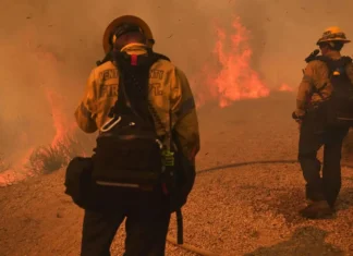 Delegación Mexicana ayuda a controlar incendios en Los Ángeles