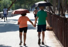 Calor 2024 es una «señal de alarma»