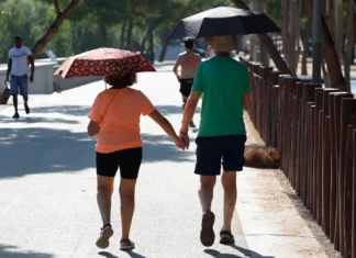 Calor 2024 es una «señal de alarma»