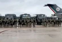 Yo Campesino / ¿Militarización?