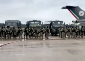 Yo Campesino / ¿Militarización?
