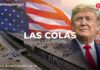 Las colas de las ratas