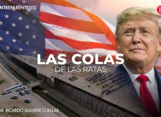 Las colas de las ratas