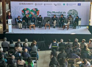 El Lago de Texcoco es declarado por la Unesco como sitio ecohidrológico: Semarnat