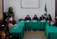 Delitos electorales tienen que ser perseguidos y sancionados: Diana Sánchez Barrios