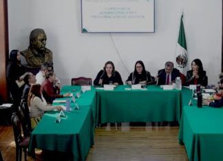 Delitos electorales tienen que ser perseguidos y sancionados: Diana Sánchez Barrios