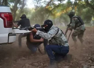 Palabras Más / ¡Terroristas!