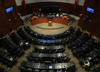 Senado aprobó reforma constitucional contra reelecicón y nepotismo