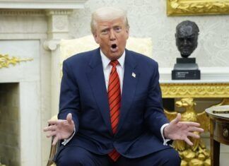 Palabras Más / ¡Un año de Trump!