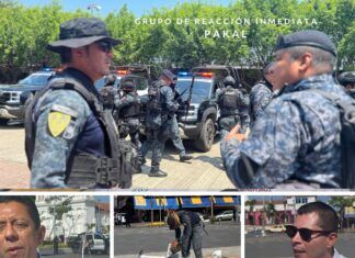 Los Pakales: un escudo de seguridad que ha blindado Chiapas