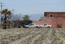 Caso Teuchitlán no es el talón de Áquiles del gobierno: Sheinbaum
