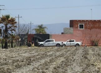 AI pide a gobierno mexicano investigar caso de fosas y crematorios clandestinos
