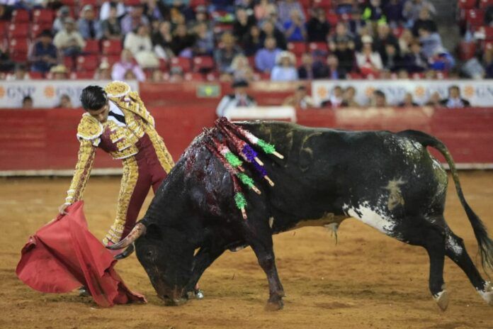 corridas-toros-plaza-mexico-1536x1024