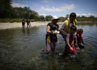 Yo Campesino / ¿Patriotas?