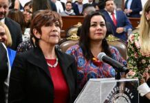 Congreso capitalino nombró a Patricia Ramírez Kuri como titular del IPDP