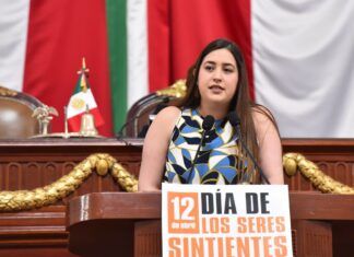 Proponen instituir el 12 de abril como día de los seres sintientes en la CDMX